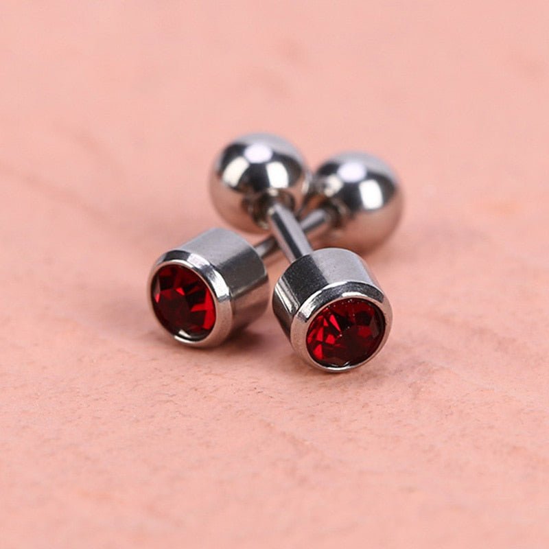 Medical Stainless Steel Earrings